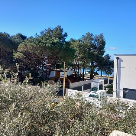 Apartmani Fila Vrsi Eksteriør billede